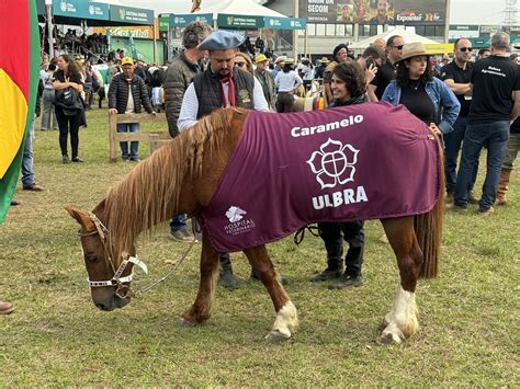 Maior Feira De Agroneg Cio Do Rs Expointer Fatura R Bilh Es Em