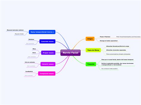 Nervio Facial Mind Map