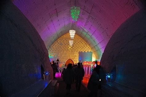 Dale Mary Lynn S Travels Chena Hot Springs Alaska Ice Castles Renewable Energy Moose