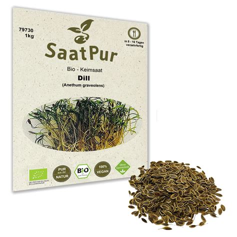 Bio Keimsaat F R Sprossen Dill Samen Keimsprossen Microgreens Vegan Ko