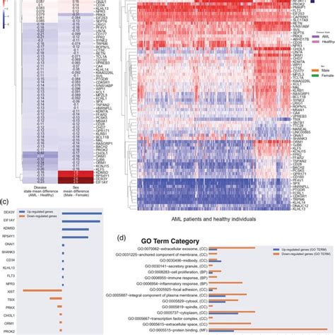 Sex Related Gene Expression Analysis In Aml A The Heatmap Of Mean