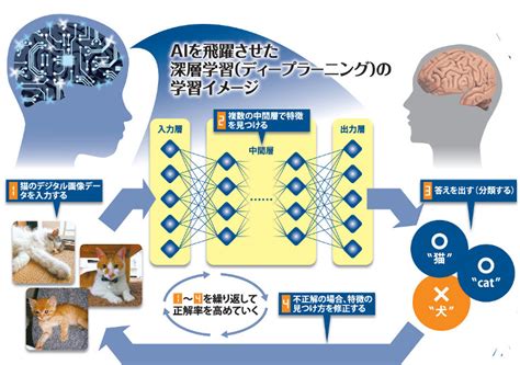 Ai進化：深層学習でどこまで賢く 人類を超える日は来るか 毎日新聞