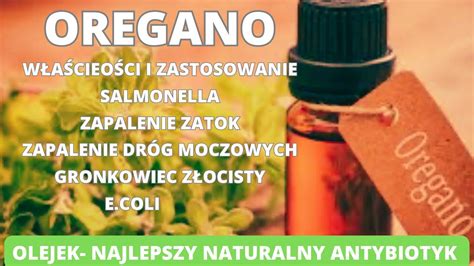 Oregano Najlepszy Naturalny Antybiotyk Jakie Cuda Sprawia Olejek