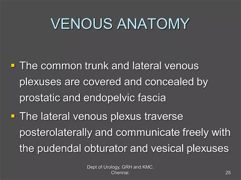 Prostate Anatomy Embryology Ppt