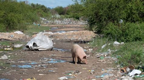 San José Del Rincón Qué Va A Hacer La Provincia Con Las 60 Mil