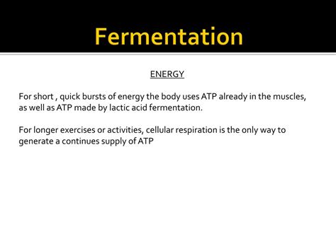 Ppt Cellular Respiration And Fermentation Powerpoint Presentation