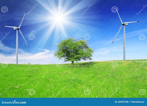 Field Tree And Blue Sky With Wind Turbines Stock Photo Image Of