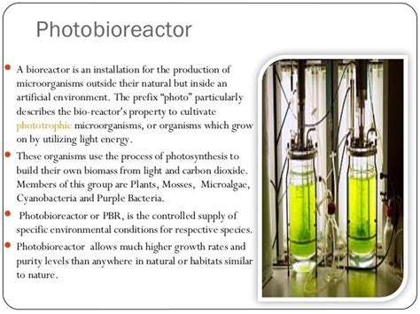 Photobioreactor