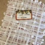 Alina Wang Porn Videos Verified Pornstar Profile Pornhub