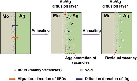 Schematic View Of The Forming Process Of The Kirkendall Voids In The