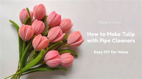 Pink Tulips With Green Stems On White Background Text Reads How To Make