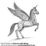 draw  unicorn  wings unicorns step  step