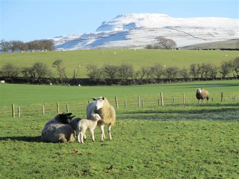 Views Around The Farm Lundholme Farm Cottages