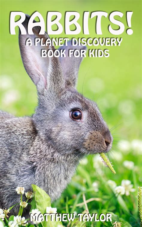 Rabbits! - Author Caren Cantrell | Children's Author | Writer
