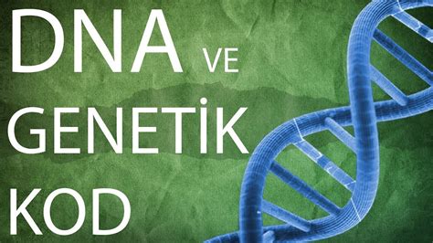 Dna Ve Genetik Kod Konu Anlatımı Youtube