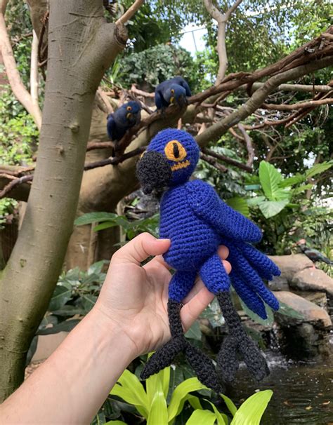 Crochet Blue Macaw Amigurumi Project Toft