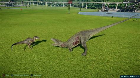 Jurassic World Evolution Spinoraptor Vs Carcharodontosaurus Youtube