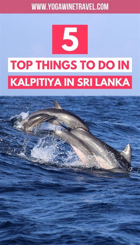 Top Things To Do In Kalpitiya In Western Sri Lanka Yoga Wine Travel