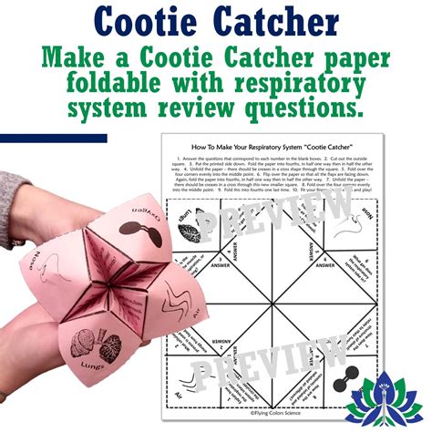 Respiratory System Review Games Flying Colors Science