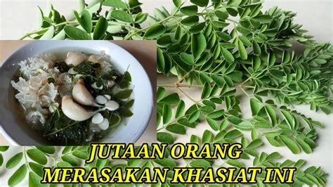 Manfaat Sayur Daun Kelor Youtube