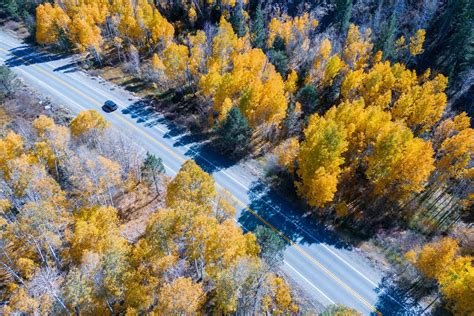 An aerial view of a road in the fall · Free Stock Photo