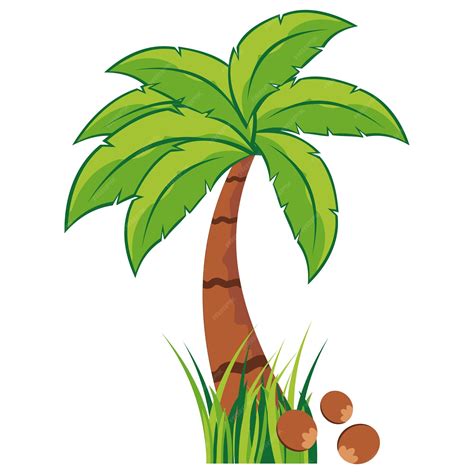 Premium Vector Coconut Tree Illustration