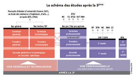 LOrientation Post 3ème College Sevigne