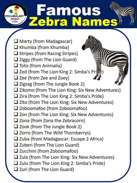 400+ Best Zebra Names in English - Vocabulary Point