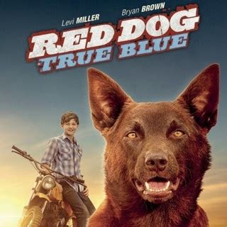 Red Dog: True Blue (2018) Pictures, Trailer, Reviews, News, DVD and ...