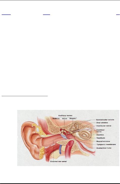 HEARING AUDITION AND BALANCE The Outer Ear Auditory Canal Introduction