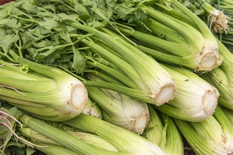 Celery Allergy Symptoms | Livestrong.com