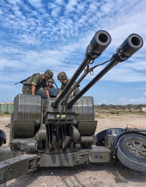 Centinelas de los cielos el Mando de Artillería Antiaérea del Ejército