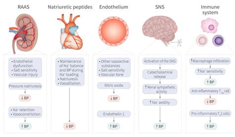 MCE 世界第一杀手心血管疾病 技术前沿 生物在线 Lab on Web