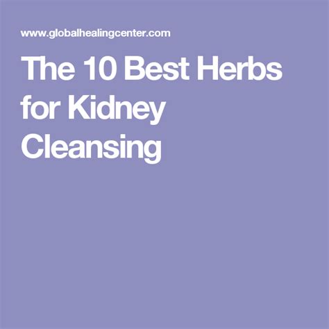 The 10 Best Herbs For Kidney Cleansing Kidney Cleanse Kidney Detox