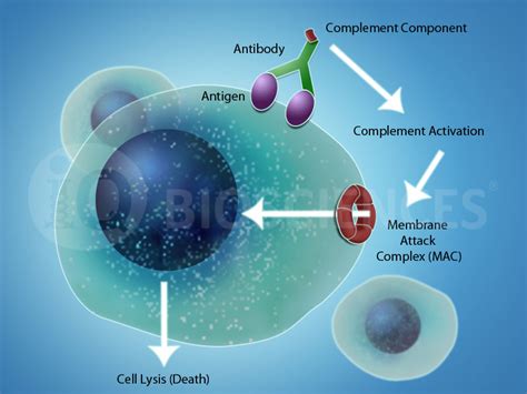 Cdc Assay