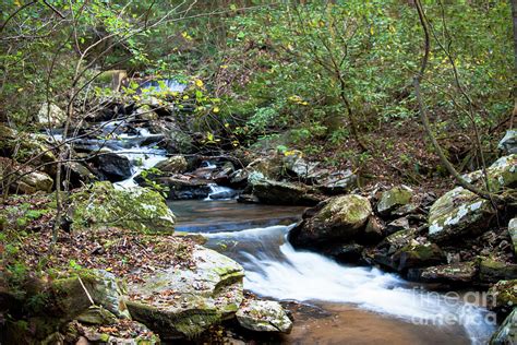 Streaming Water Sounds Photograph by Dale Powell - Fine Art America