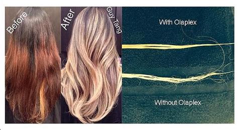 28 best images about OLAPLEX @ GLAMARAMA! Before and After pics on ...