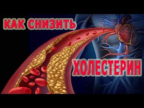 Холестирамін (холестирамін): інструкція із застосування, ціна та відгуки