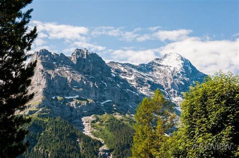 Grindelwald Eiger Eigernordwand First Bort Alpen Berner Cartazes