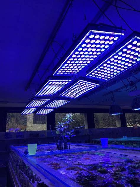 Best Aquarium LED lighting | Led aquarium lighting, Aquarium lighting ...