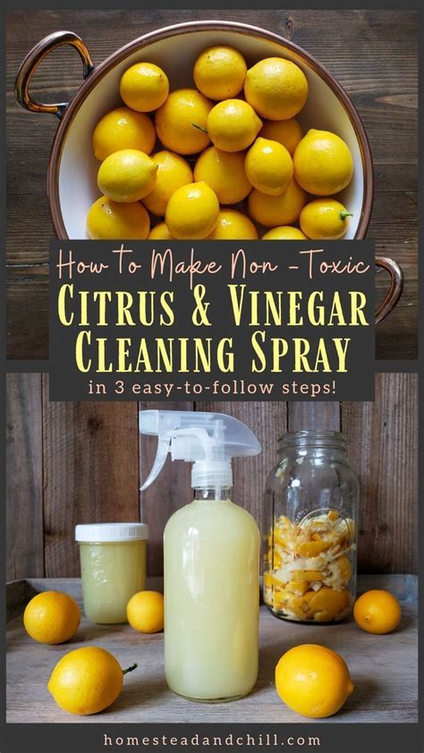 How To Make Homemade Lemon Vinegar Cleaning Spray Natural Non Toxic