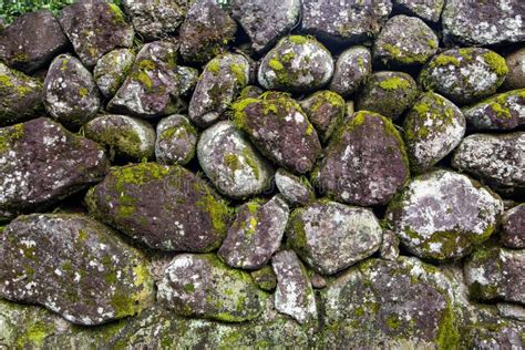 Moss Covered Rock Wall Texture Stock Photo Image Of Abstract Nature