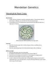 Notes Lab Week Docx Mendelian Genetics Monohybrid Plant Cross Key