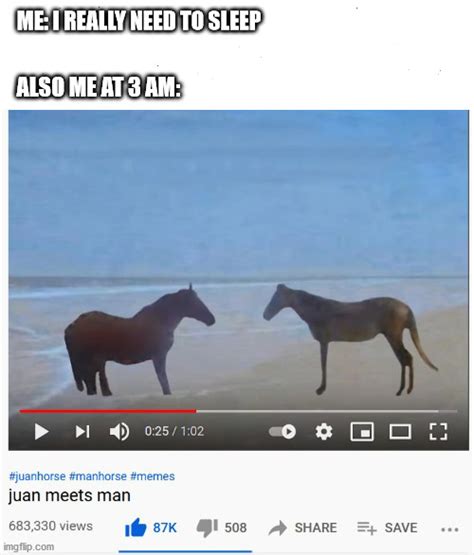 Horse Named Juan Meme - Captions Beautiful