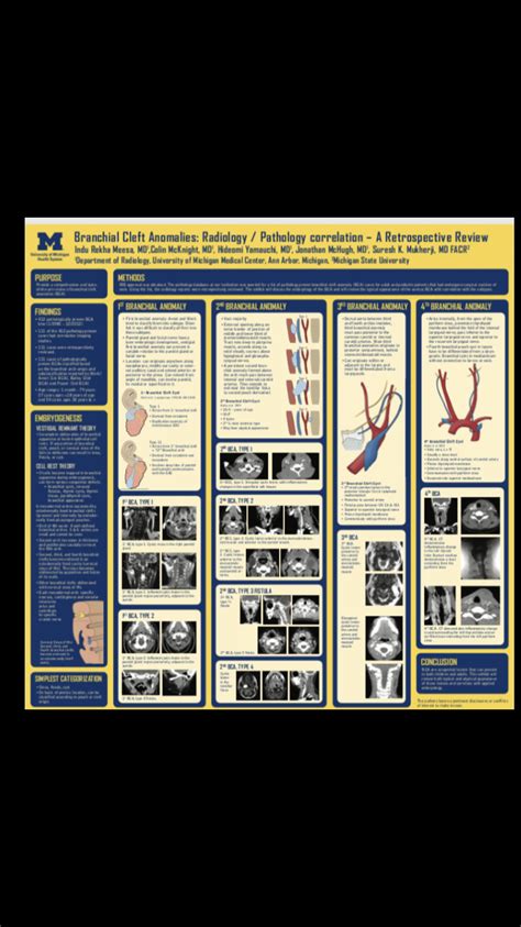 Pdf Branchial Cleft Anomalies Radiologypathology Correlation