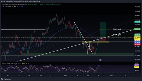 OANDA EURNZD Chart Image By Muadh TradingView