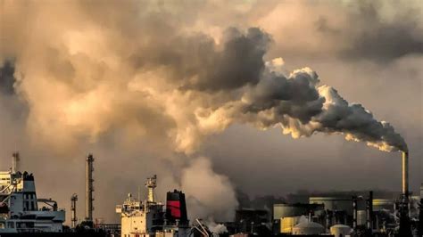 Unicef Más De 8 Millones De Muertes En El Mundo Por La Contaminación