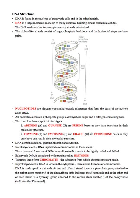 Biology Genetics Notes Notexchange