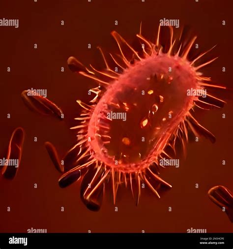 Bacteria Legionella Pneumophila Fotograf As E Im Genes De Alta