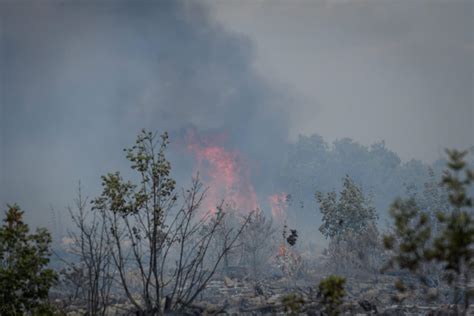 Slobodna Dalmacija Po Ar Na Hvaru Lokaliziran Izgorjele Su Masline I